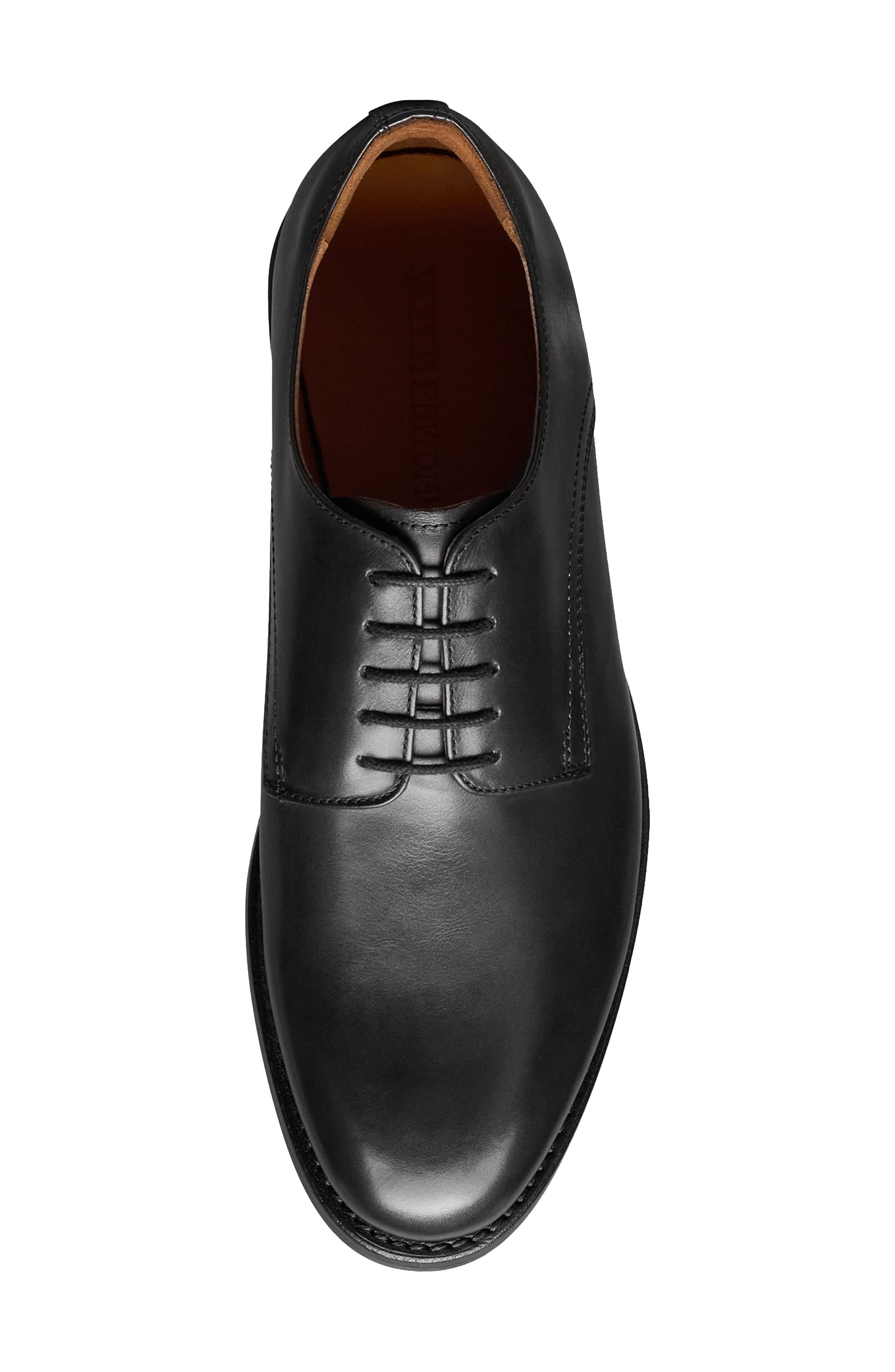 Allen Edmonds Henry Plain Toe Oxford, Alternate, color, 