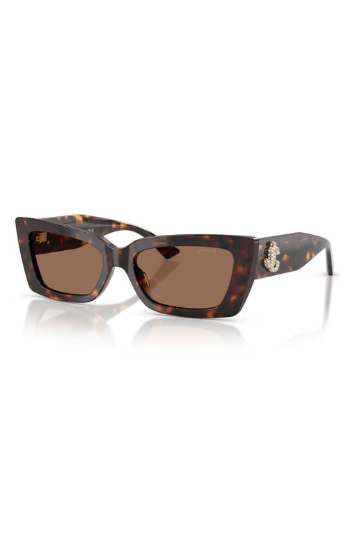 Jimmy Choo Havana Cat Eye Sunglasses In Brown