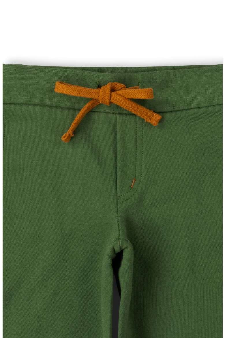 Kids' Solid Organic Cotton Shorts, Alternate, color, GREEN