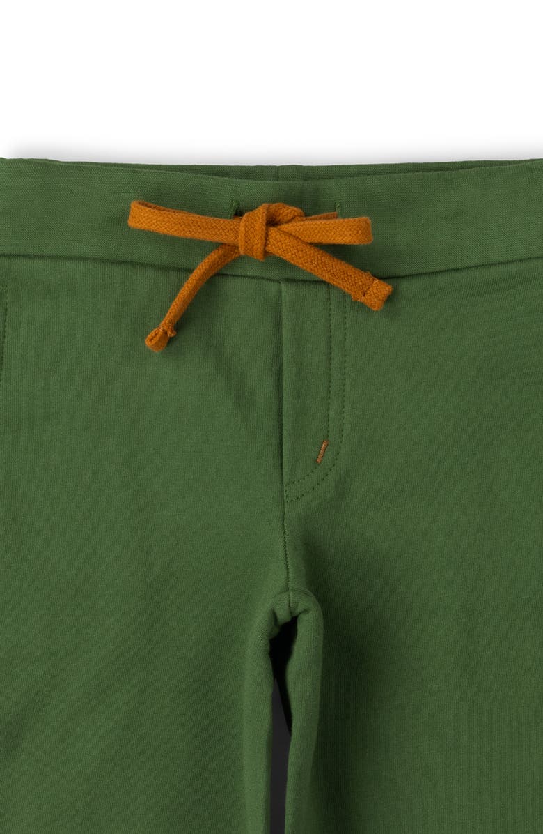 Little Green Radicals Kids' Solid Organic Cotton Shorts, Alternate, color, Green