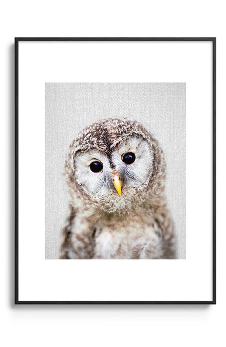 Deny Designs Baby Owl Colorful Framed Art Print, Main, color, Black Tones