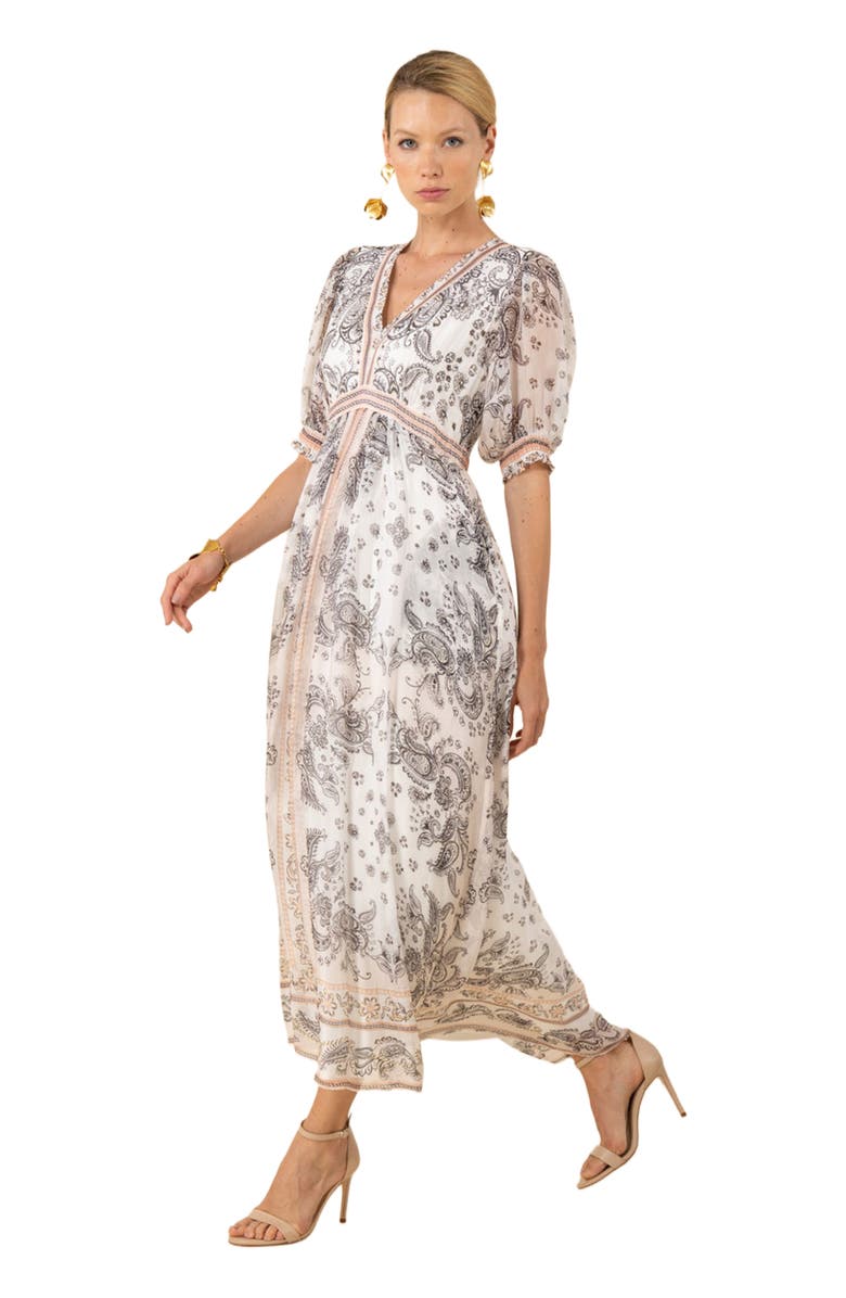 Hale Bob Lilian Chiffon Maxi Dress, Alternate, color, 