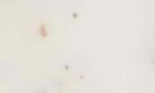 Elemis Frangipani Monoi Salt Glow Body Scrub 490g In No Color