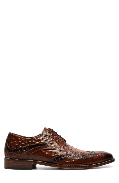 Stacy Adams Gennaro Wingtip Derby In Cognac