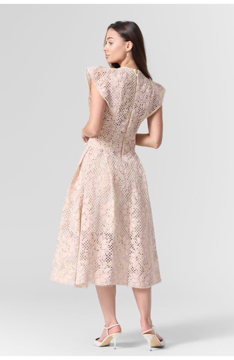 Le Fafo Pink Lace Embroidered Midi Dress, Alternate, color, Light Pink