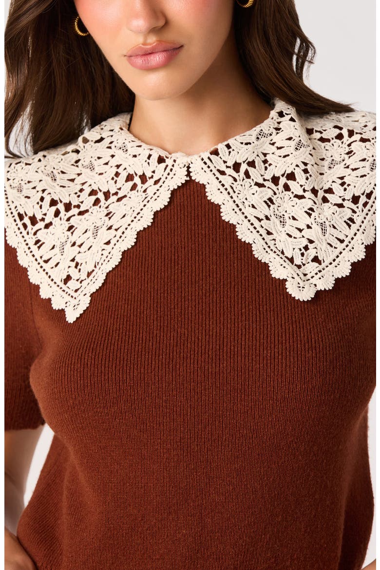 Carianne Lace Collar Short Sleeve Sweater, Alternate, color, RUST
