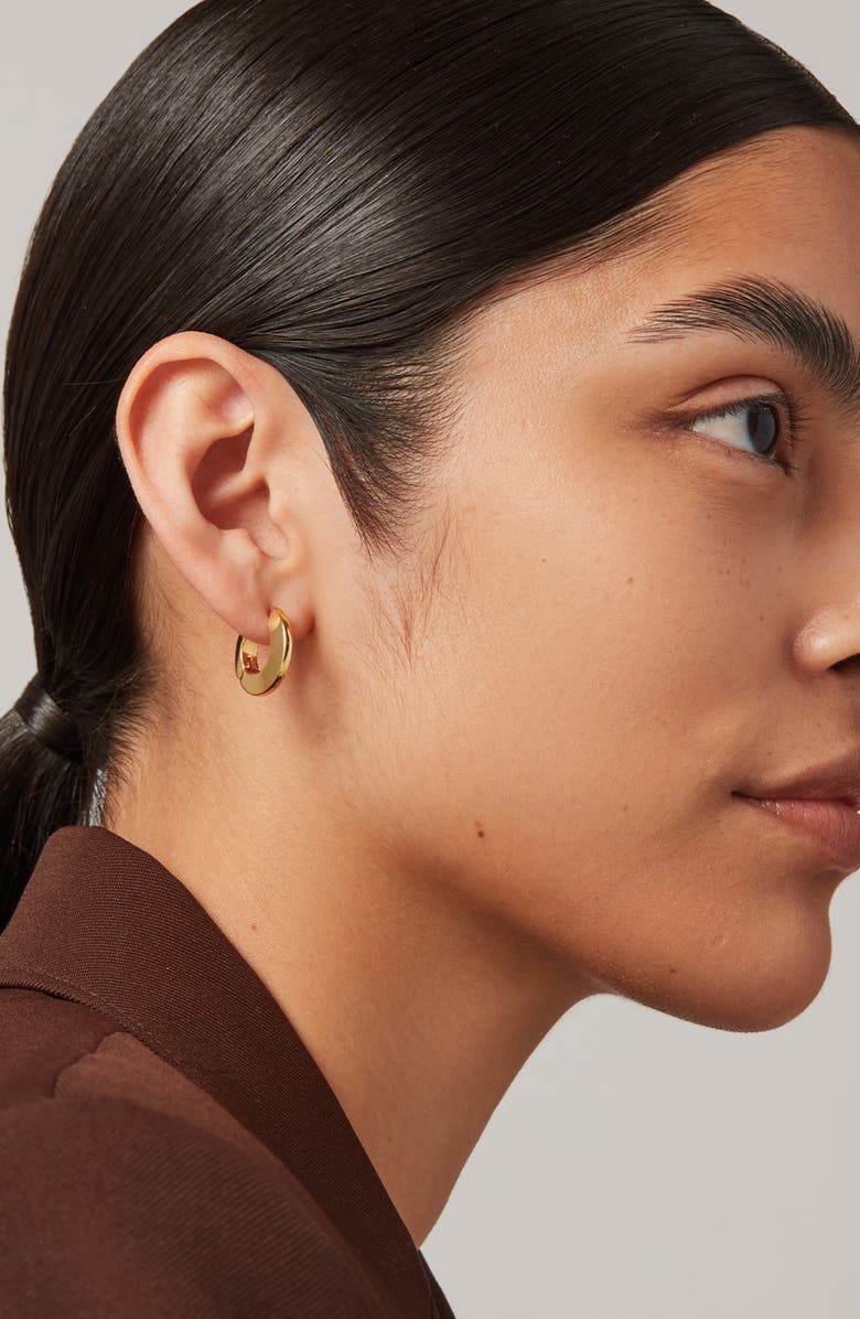 JENNY BIRD Small Toni Hoop Earrings, Alternate, color, 