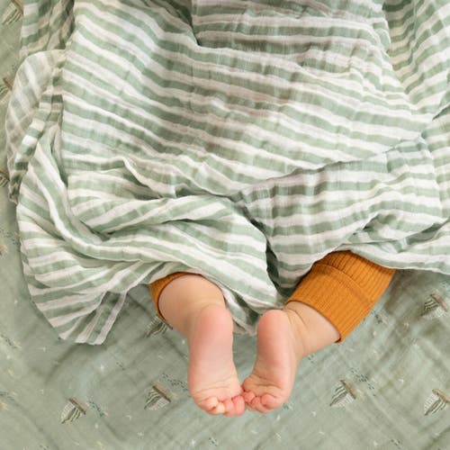 Aden + Anais 2-pack 100% Organic Cotton Muslin Swaddles In Blue