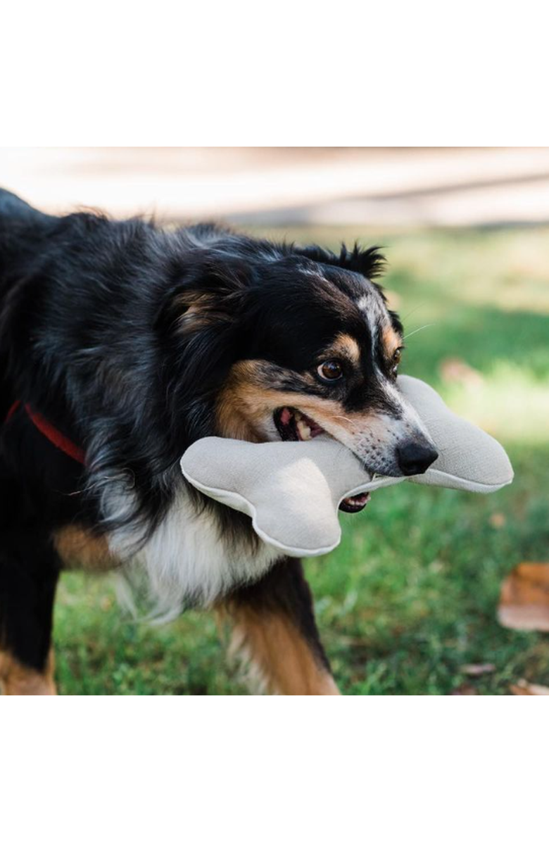 The Kind Pet Plush Hemp Dog Bone Toy for Gentle Chewers, Alternate, color, Ivory