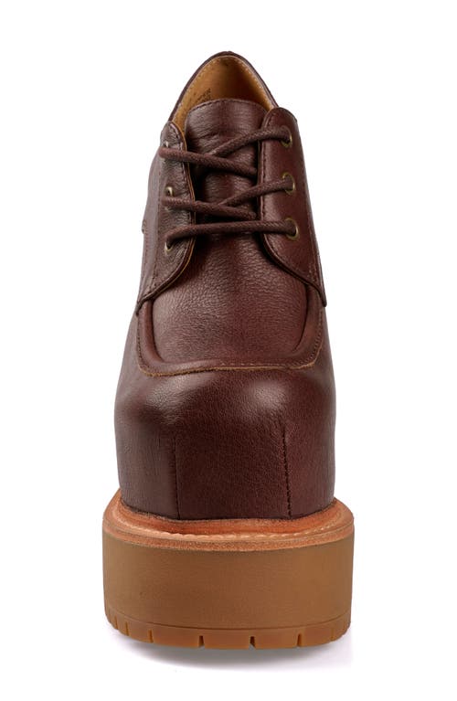 Zigi Tina Lace-up Platform Shoe In Brown