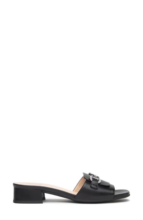 Nerogiardini Bit Slide Sandal In Black