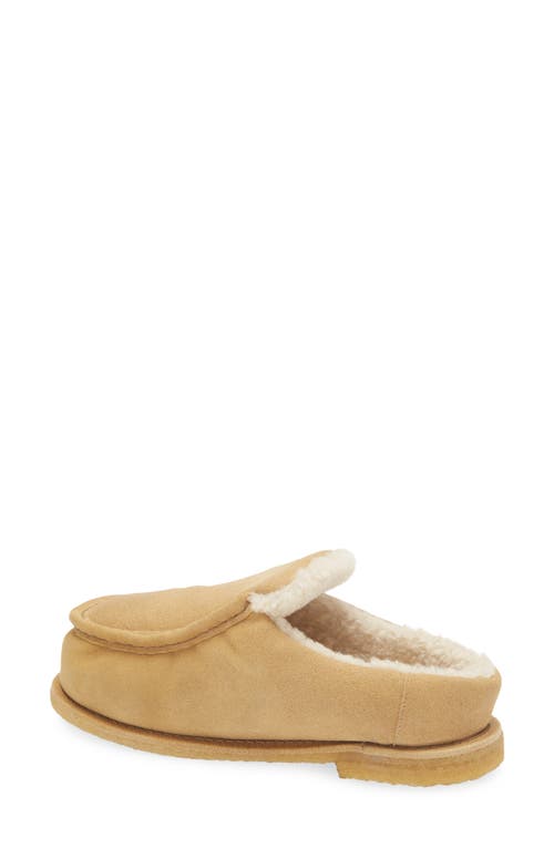 Jw Anderson Genuine Shearling Mule In Calf Mustaza Beige