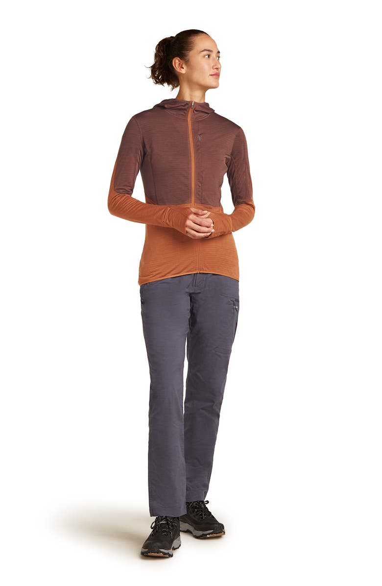 Icebreaker Tencel & Merino 200 Realfleece Descender Zip Hoodie, Alternate, color,