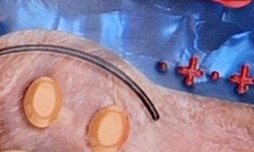 Solar Eclipse Hand Painted Après Ski Teddy Bear Claw Clip In Brown