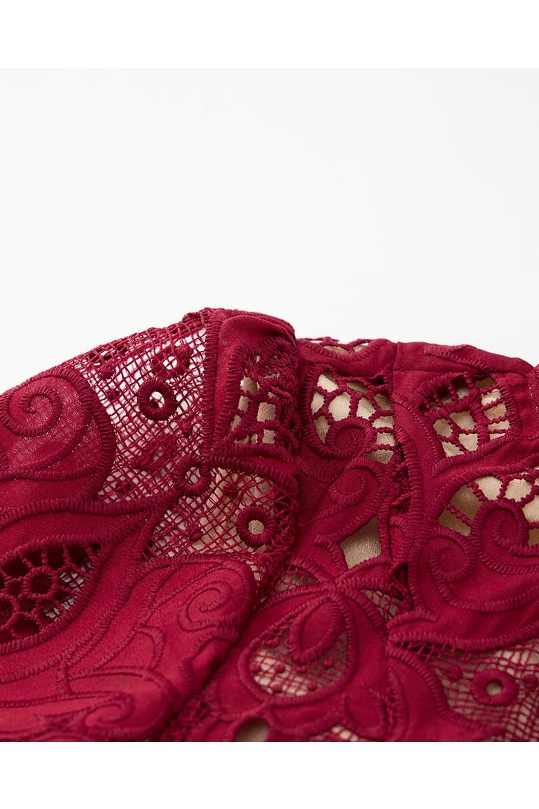 Gisele Embroidered Mini Dress, Alternate, color, Wine