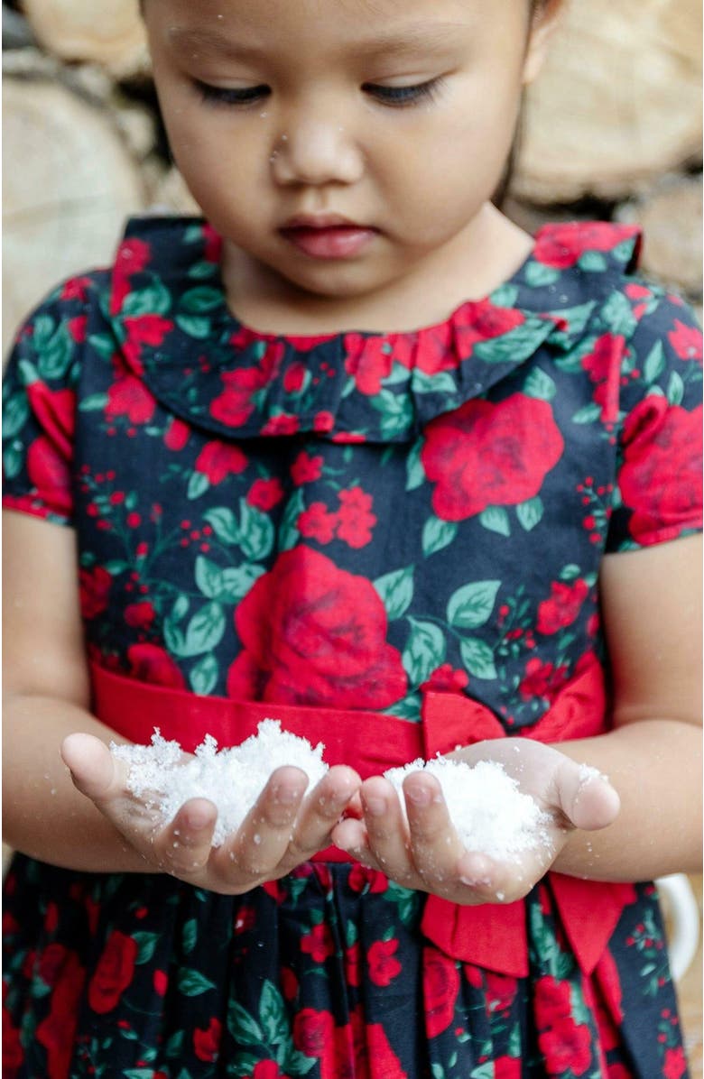 Hope & Henry Baby Girls' Organic Ruffle Collar Party Dress, Infant, Alternate, color, Black Holiday Rose