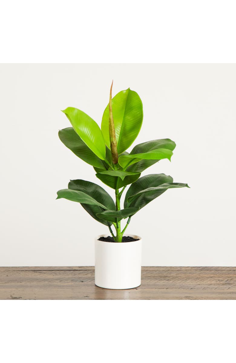 NEARLY NATURAL 20-in Artificial Fiddle Leaf Fig Plant, Alternate, color, Green