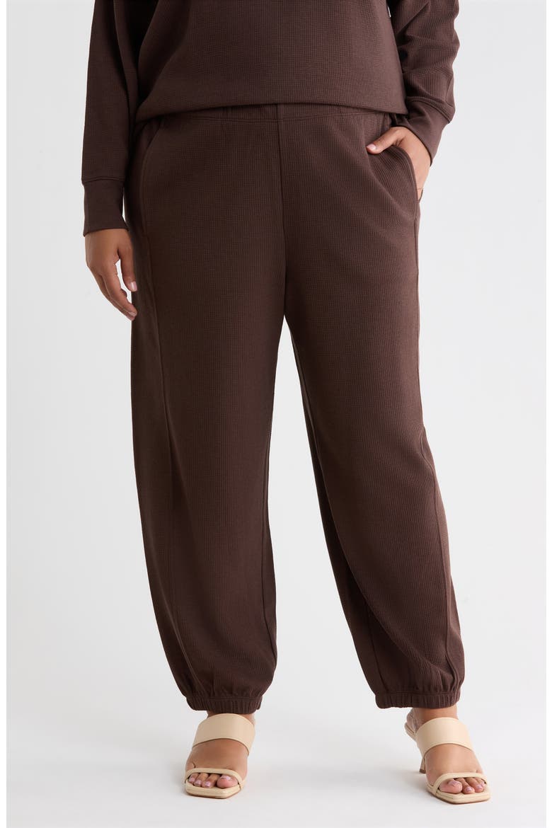 Organic Cotton & Tencel Lyocell Ankle Jogger Pants, Main, color, COFFEE