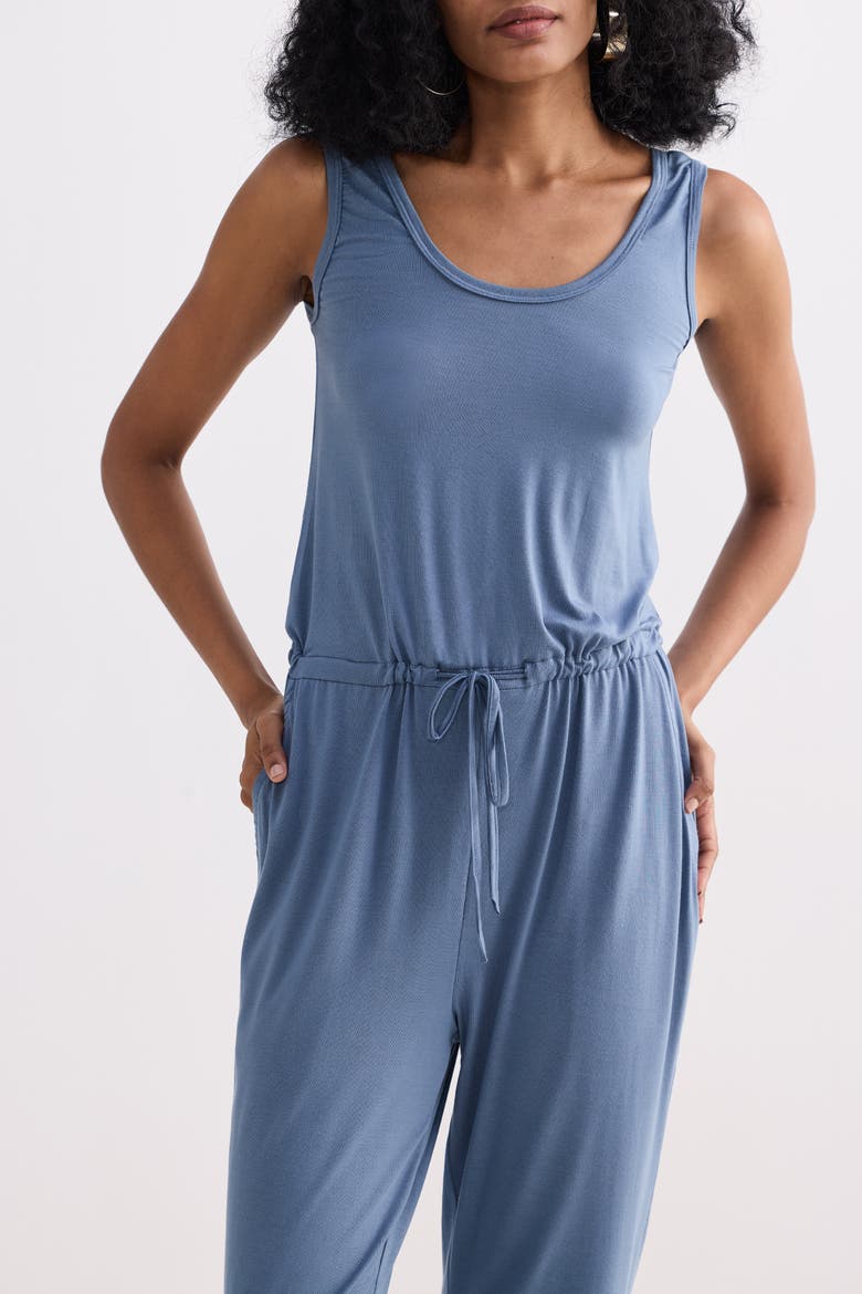 Relaxed Drawstring Jumpsuit, Alternate, color, Blue