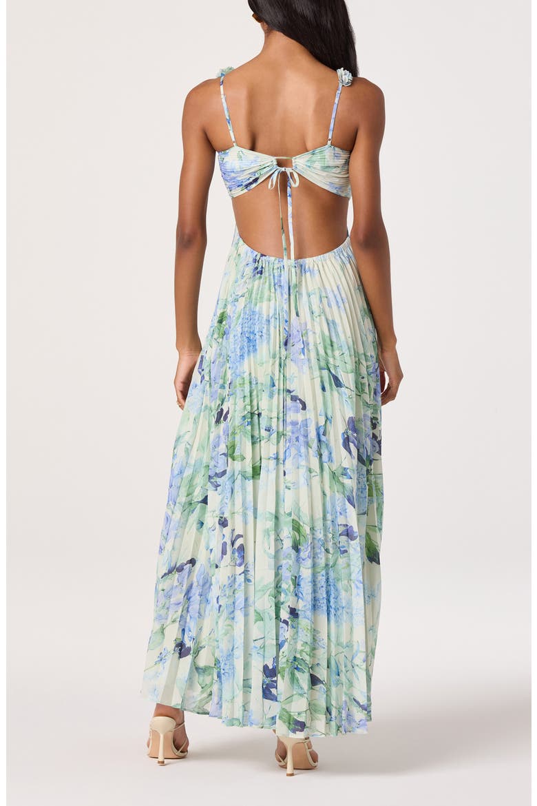 Emese Pleated Maxi Sundress, Alternate, color, GREEN BLUE FLORAL