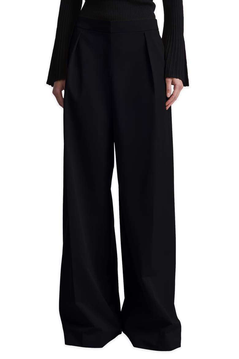 Tina Wide Leg Pleated Pants, Alternate, color, BLACK