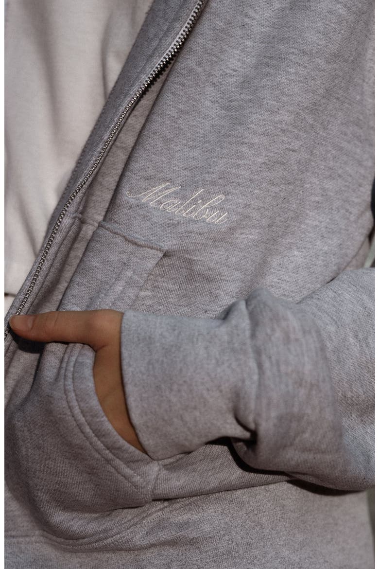 Malibu Zip Up Hoodie, Alternate, color, Heather Gray