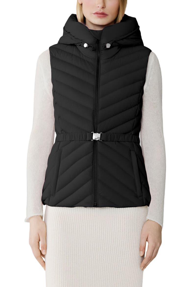 Estelle Water Resistant 700 Fill Power Hooded Down Vest, Alternate, color, BLACK