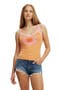  Hibiscus Flower  Soft Orange
