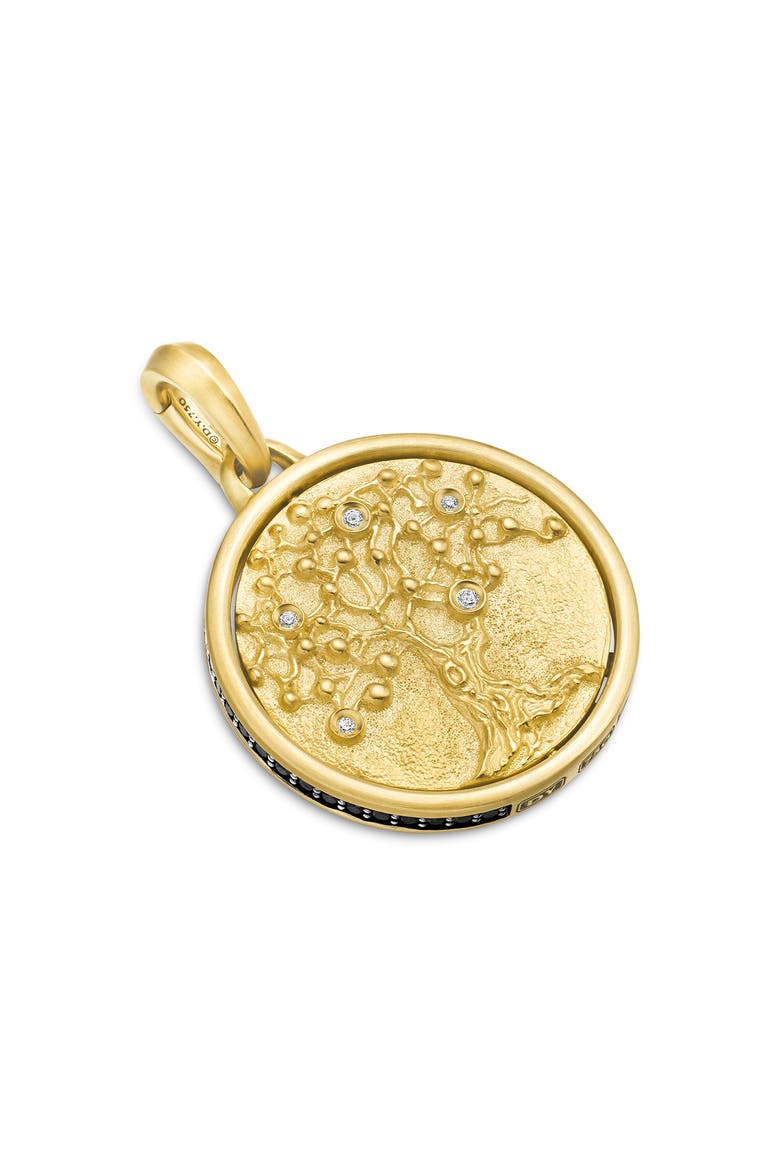 Life & Death Amulet in 18K Yellow Gold, Alternate, color, 18K YELLOW GOLD