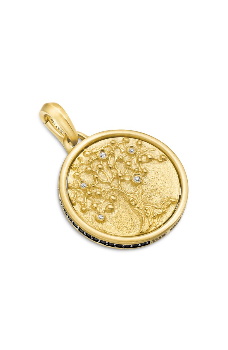 David Yurman Life & Death Amulet in 18K Yellow Gold, Alternate, color, 18K Yellow Gold