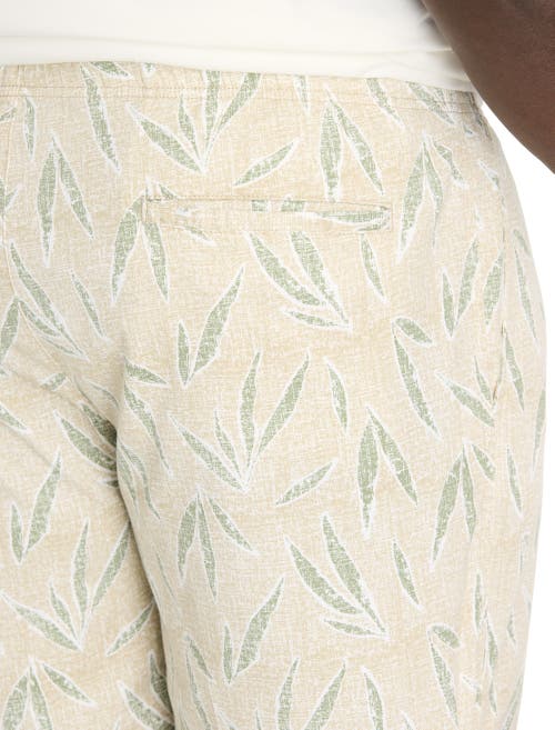 True Nation By Dxl Big & Tall Trekker Shorts