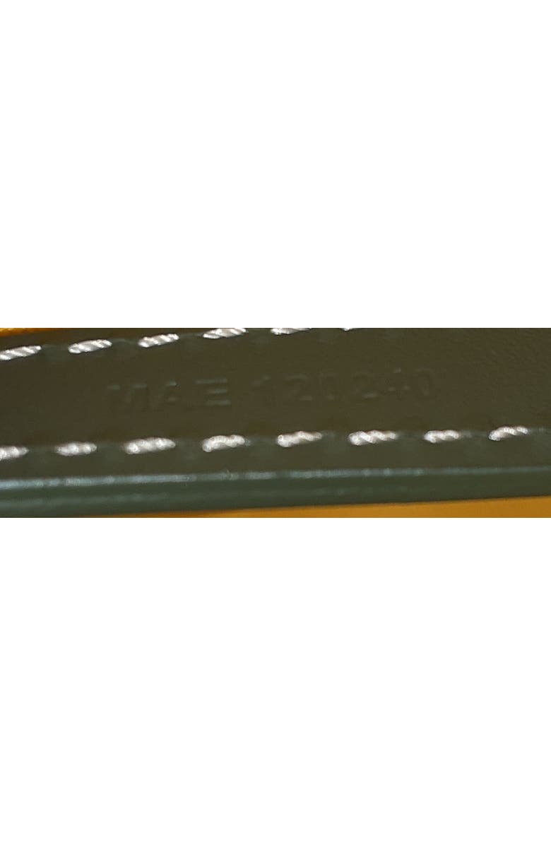 Pre-Owned Goyard Cap Vert Bag Printed Coated Canvas, Alternate, color, Green