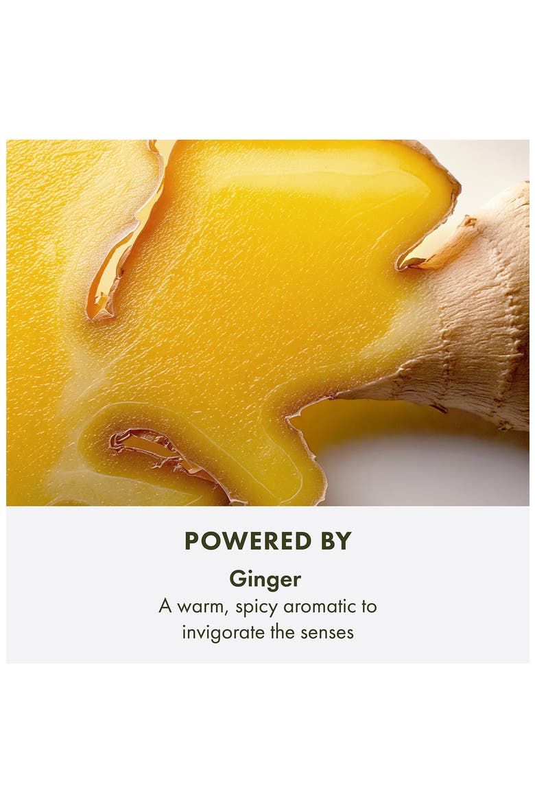 Ginger Essence Sensuous Skin Scent, Alternate, color, NO COLOR