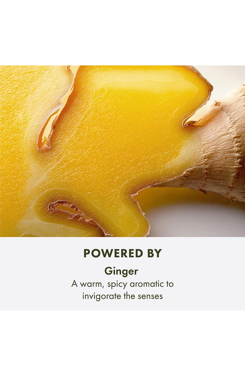 Origins Ginger Essence Sensuous Skin Scent, Alternate, color, 