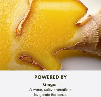 【残量8割】ORIGINS SENSUOUS SKIN SCENT50ml レア Origins Ginger Essence Sensuous Skin Scent Körperspray