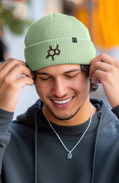 Dalix Molecule Beanie In Light Green