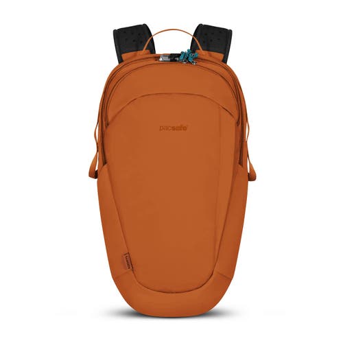 Shop Pacsafe Eco 25l Anti Theft Backpack In Econyl Canyon