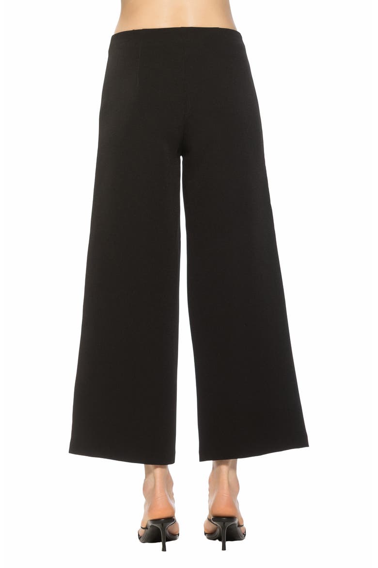 Lucia Lace-Up Wide Leg Pants, Alternate, color, BLACK