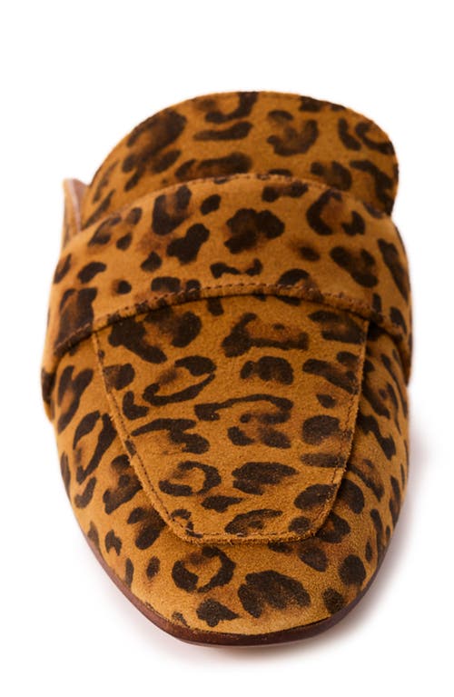 Shop Free People At Ease Loafer In Leopard Suede