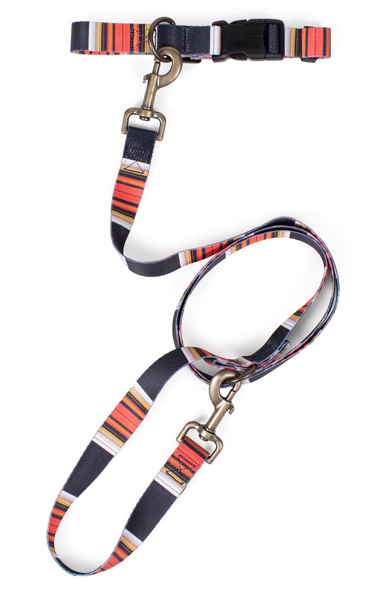 Pendleton National Park Adventure Leash, Alternate, color, Acadia