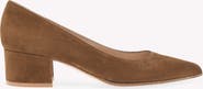 Gianvito Rossi Piper Pump 45