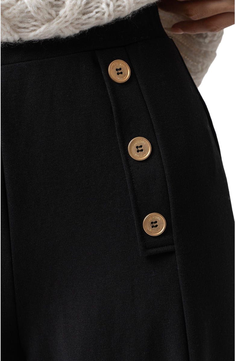 Saint + Sofia Chelsea Pant, Alternate, color, Black