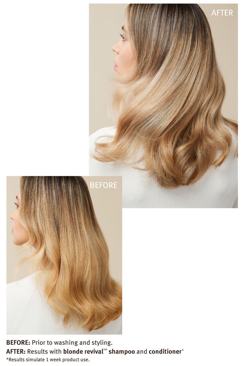 blonde revival™ Purple Toning Shampoo, Alternate, color, NO COLOR