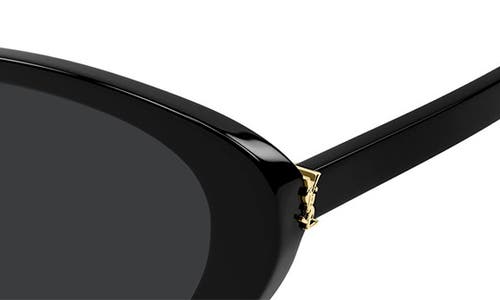 Saint Laurent 55mm Acetate Cat-eye Sunglasses In Black