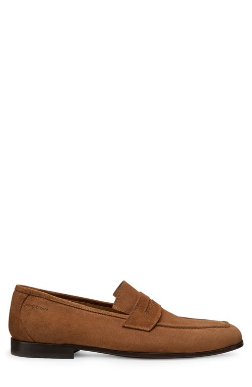 Stuart Weitzman Club Penny Loafer In Brown