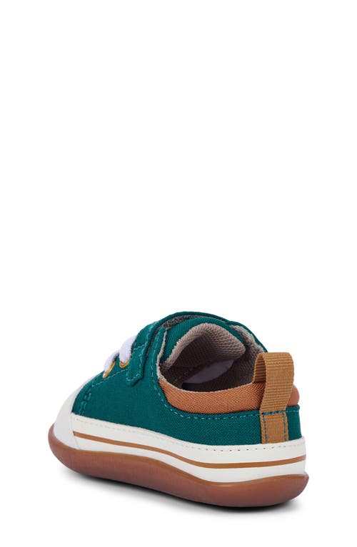 See Kai Run Kids' Stevie Mini Sneaker In Green