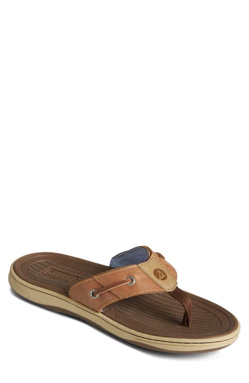 Sperry Baitfish Flip Flop In Brown
