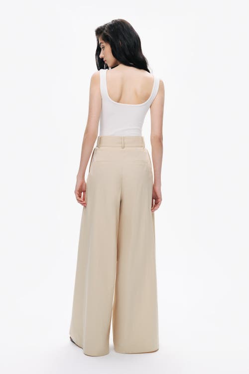 Nocturne Double Pleated Pants In Beige