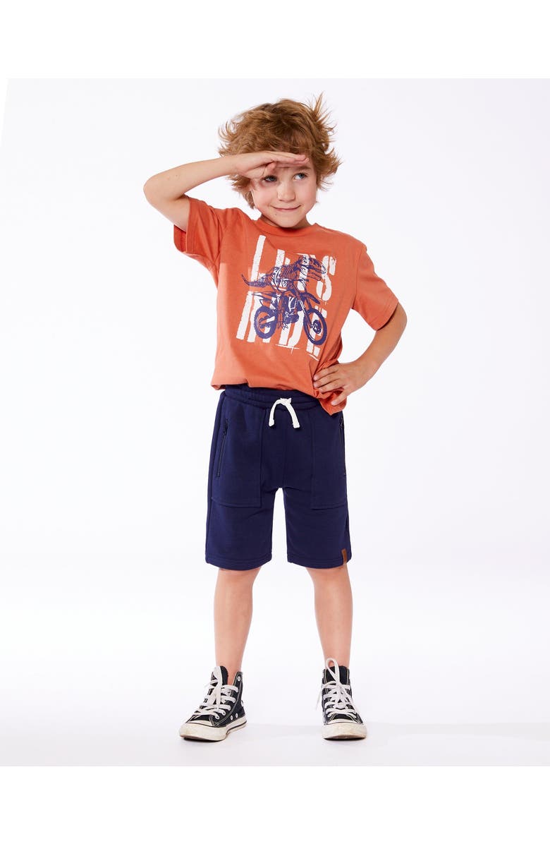 Deux par Deux Little Boy's Organic Cotton Graphic Tee Orange And Navy Dino, Alternate, color,