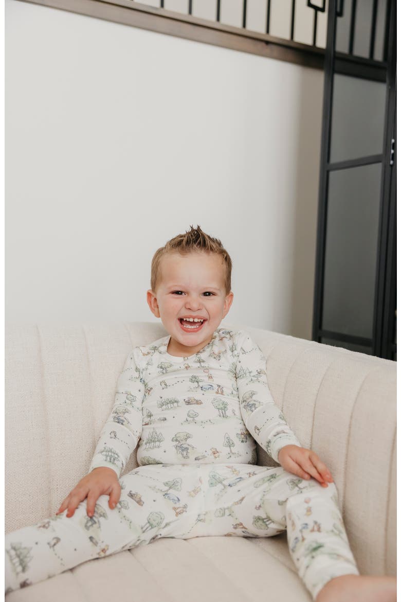 Hundred Acre Woods Fitted Two-Piece Pajamas, Alternate, color, HUNDRED ACRE WOOD